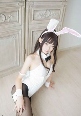 欧美大码一区二区免费看_在线观看免费版